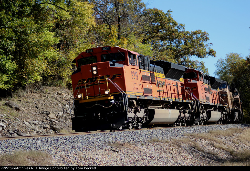 A little Ozark color